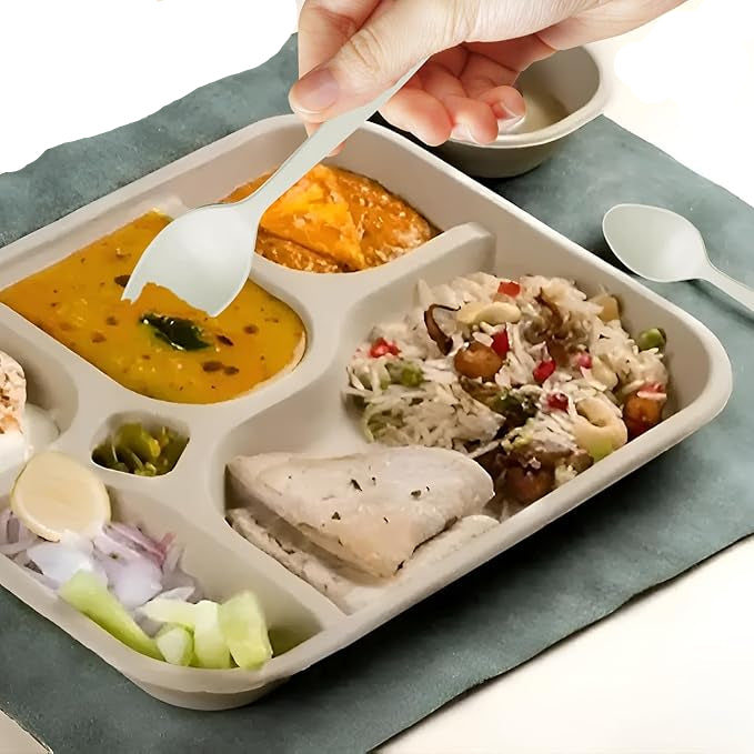 Ecoz Compostable plastic Eco- friendly multiple usage spoon.
