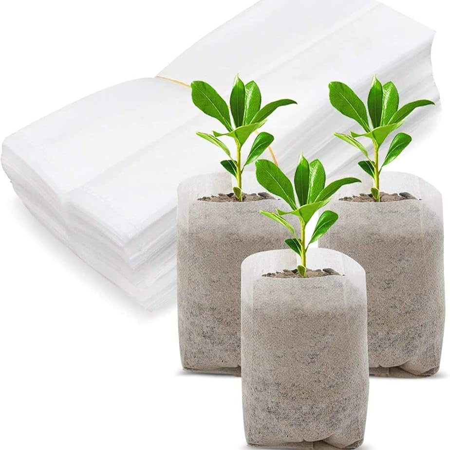 Ecoz Compostable nursery bag with planted 