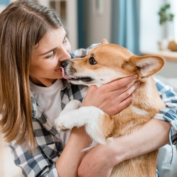 Zepomart pet care products