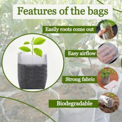 Ecoz Biodegradable Compostable Nursery Bag - Image 2