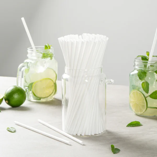 Ecoz Disposable biodegradable Straw