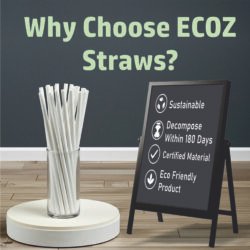 Ecoz Disposable biodegradable White Straw for juice | Exclusive Planet-Friendly Straw for cold drinks, cafes, parties and daily use - Pack of 100 - Image 4