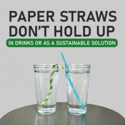 Ecoz Disposable biodegradable White Straw for juice | Exclusive Planet-Friendly Straw for cold drinks, cafes, parties and daily use - Pack of 100 - Image 9