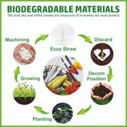 Ecoz Disposable biodegradable White Straw for juice | Exclusive Planet-Friendly Straw for cold drinks, cafes, parties and daily use - Pack of 100 - Image 7